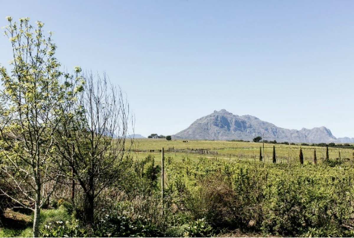 BrenaissanceSA's tweet photo. P E R F E C T  B A C K D R O P

Surreal scenery at Brenaissance. The perfect backdrop for beautiful photos.

#Brenaissance #capetown #winelands #stellenbosch #winetasting #CapeTown #Photography #POTD #Travelgram #InstaTravel #LovingStellenbosch #view https://t.co/ucDdWRpxgk