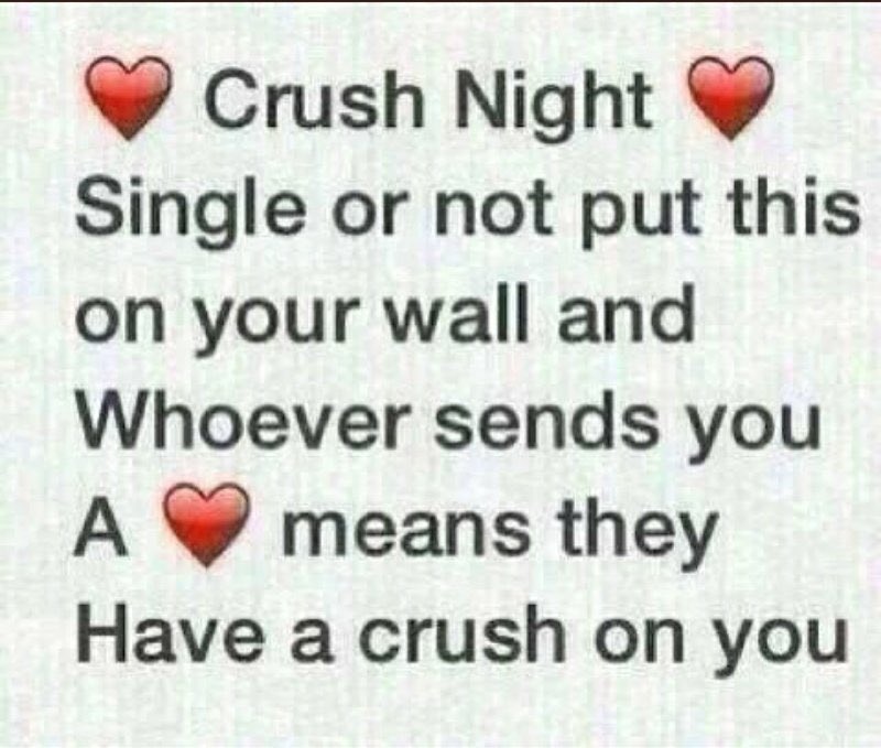 bedhead_03's tweet photo. Imma do this cause I’m bored. If I have no one to crush on me, that’s fine because I don’t plan on dating anyone online anyways https://t.co/DSI0bmLNW1