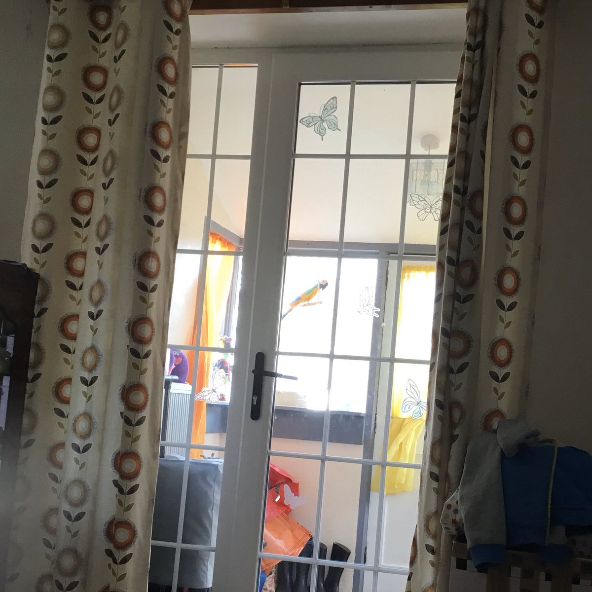 HarryKazzam's tweet photo. The sun is so bright, I can’t even show you the view through my font door! How lovely; is spring here? #sunshine #spring #warmbutcold https://t.co/mmmPFGWgSX