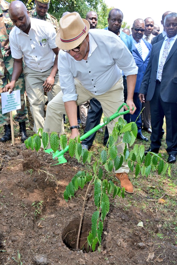 tunajibu's tweet photo. Chief Administrative Secretary, @JBoinnet and Principal Secretary, @SegorFred joined me in planting trees in the vast Ruma National Park ecosystem. #WorldWildlifeDay #savetheRoan #wildlifeke https://t.co/4qPAv1HQv4