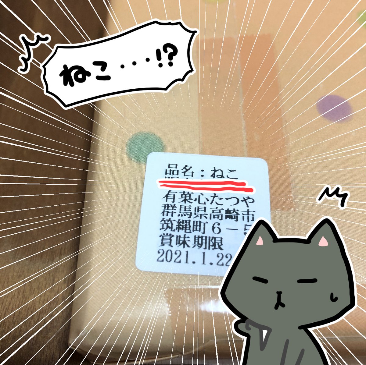 先日いただいた差し入れが猫でした 