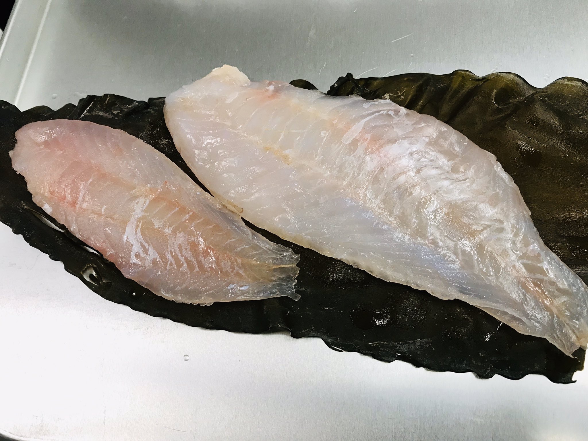 多田水産 本日のお刺身はオオスジハタ マハタ ウッカリカサゴ アヤメカサゴ 釣った翌日にハタとウッカリ比べたら明らかにウッカリが一段落ちてたので カサゴ2種は軽く昆布締めです 後は皮と浮き袋の湯掻いたんです美味しい美味しい お酒は 多田水産 本日のお刺身はオオスジハタ マハタ ウッカリカサゴ アヤメカサゴ 釣った翌日にハタとウッカリ比べたら明らかにウッカリが一段落ちてたので カサゴ2種は軽く昆布締めです 後は皮と浮き袋の湯掻いたんです美味しい美味しい お酒は