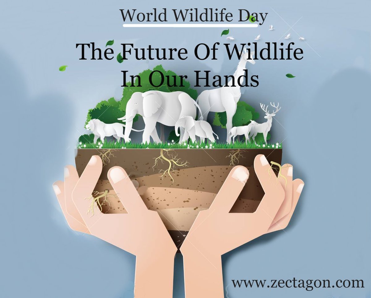 zectagon's tweet photo. Throughout your events, make your voices heard, and together let's work towards a world that can Sustain all life on Earth!
https://t.co/ntPcaGAdVW
#Animals #Nature #Zectagon #DigitalWorld #naturelovers #beauty #Wildlifeday https://t.co/IFaGogFmWs