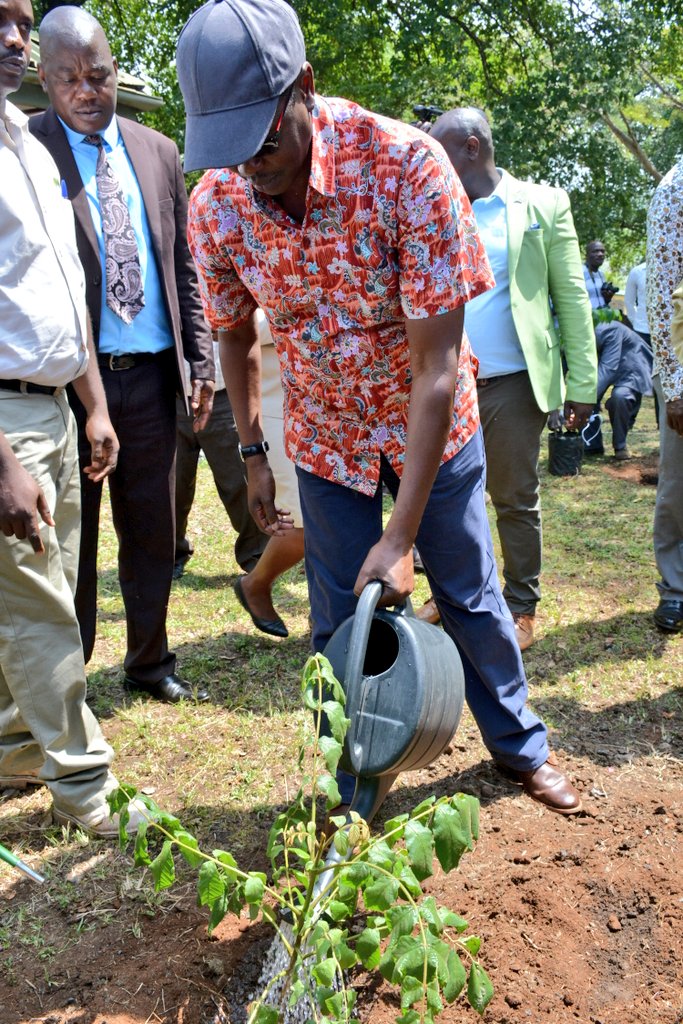 tunajibu's tweet photo. Chief Administrative Secretary, @JBoinnet and Principal Secretary, @SegorFred joined me in planting trees in the vast Ruma National Park ecosystem. #WorldWildlifeDay #savetheRoan #wildlifeke https://t.co/4qPAv1HQv4