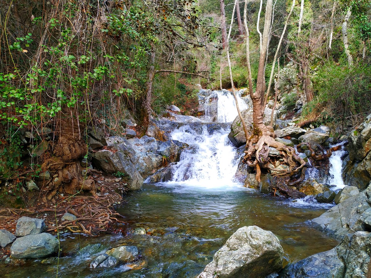MyCyprus1's tweet photo. Hantara (Chantara) Waterfalls at Phini village.
One of the must visit places in #Cyprus for all nature lovers.
#Hantara #Chantara #Waterfalls #MyCyprus https://t.co/Z848pa8KQn