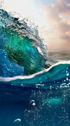 "In pfotography there is reality so subtle that it becomes more real than reality. "  Alfterd Stieglitz           Taking an image, feezing a moment, reveals how rich reality truly is.