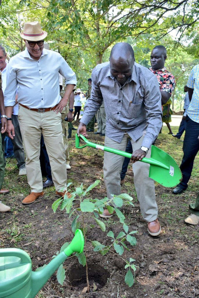 tunajibu's tweet photo. Chief Administrative Secretary, @JBoinnet and Principal Secretary, @SegorFred joined me in planting trees in the vast Ruma National Park ecosystem. #WorldWildlifeDay #savetheRoan #wildlifeke https://t.co/4qPAv1HQv4