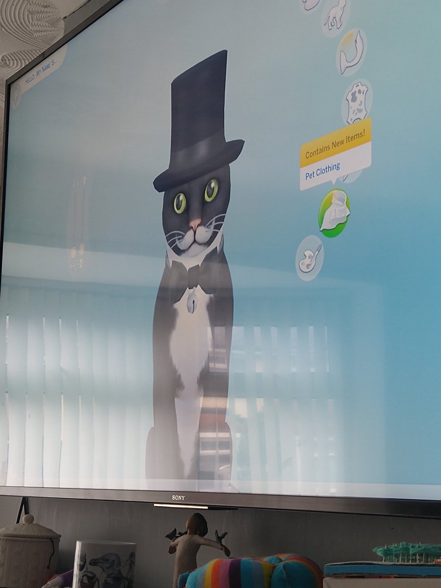 wheelychronic's tweet photo. Is this not the most awesome #sims4 #cat ? Unfortunately husband decided to change it ☹️ I am doing my #ou_stem work while watching him play sims4. https://t.co/GqbKU7F9qz