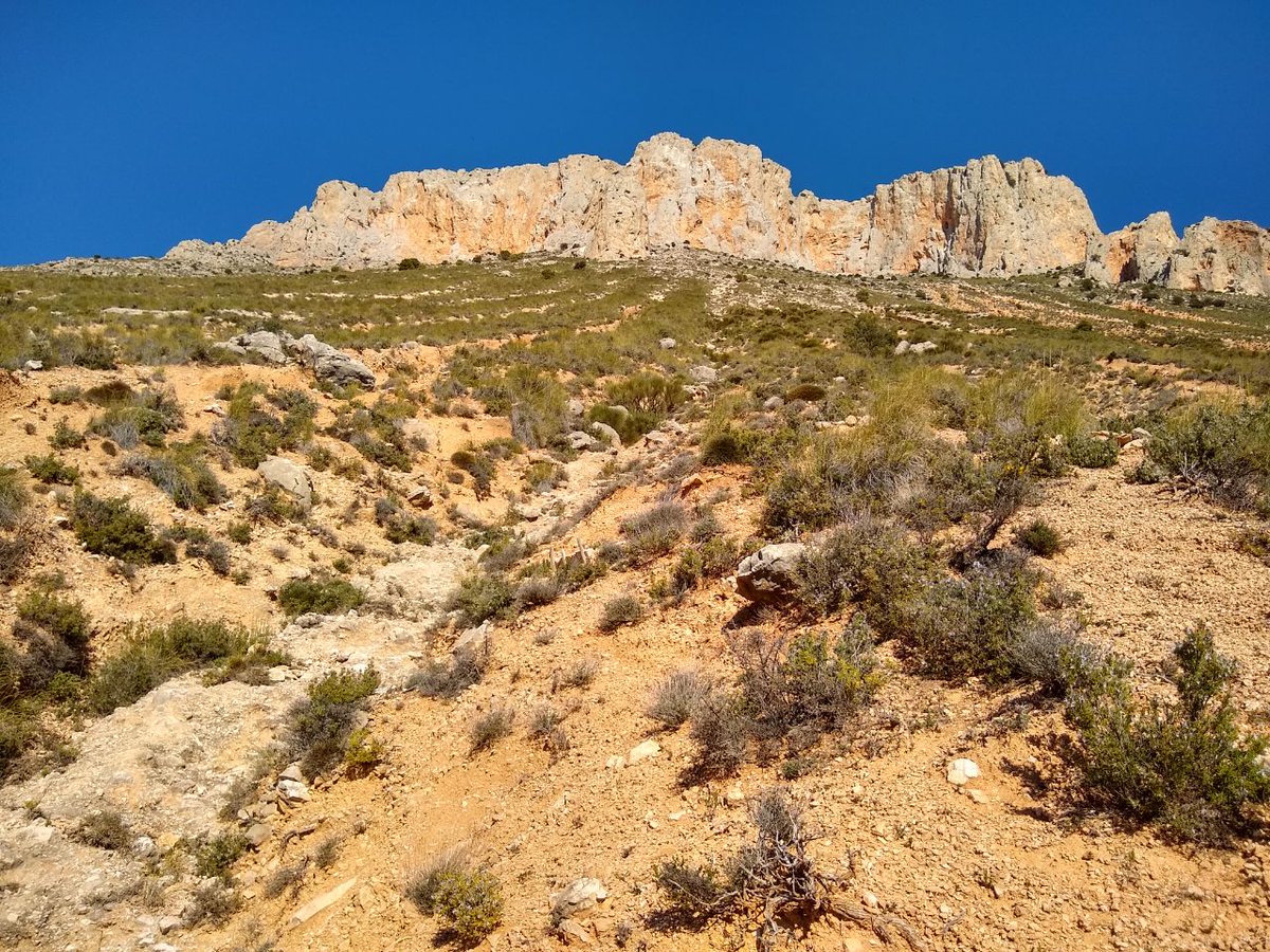 AlVelAl_4R's tweet image. AlVelAl finaliza la plantación de 30.000 árboles y arbustos en La Muela gracias a la colaboración de @Ecosia