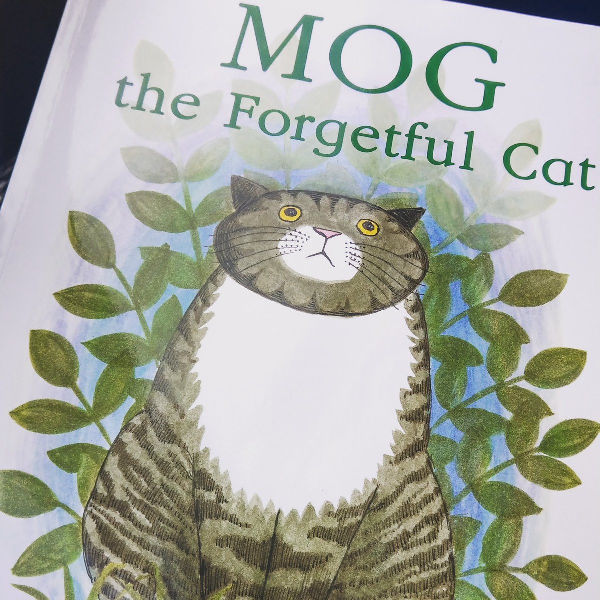 Shonagh1901's tweet photo. I read a story to my son's class today to celebrate #worldbookday . He helped me pick it but was wracked with worry that no one else would find it funny or good.  I tried to teach him levity today and maybe bravery too.  It went down a treat.  #adoptionuk #Mog https://t.co/0rza0qnbnM