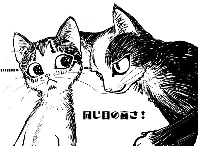 僕らは仲良し…言いたかないけどね。 