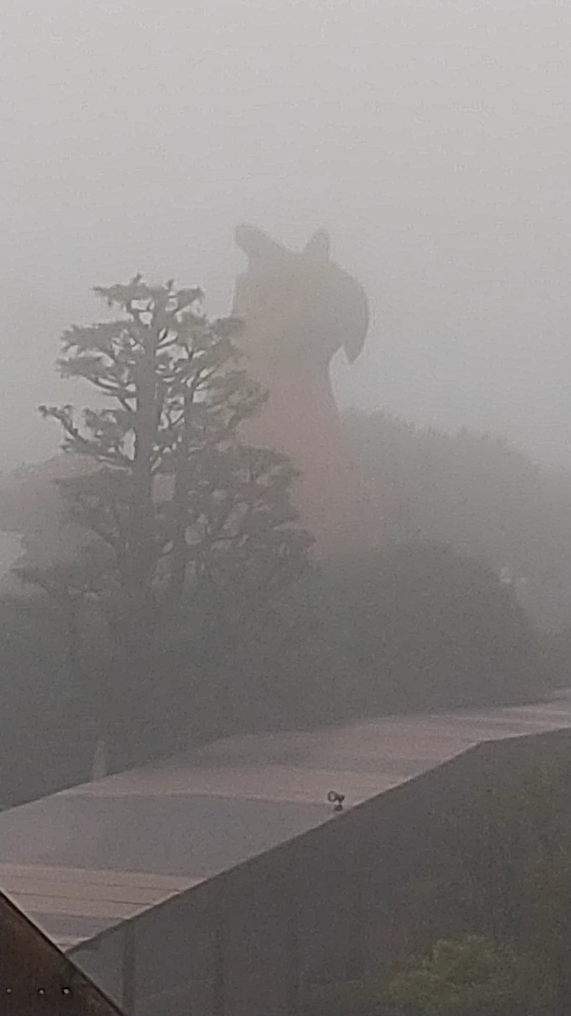 @se1k1ma2_ 自分も昨日行ってました。色々遊び心があって楽しめました。 