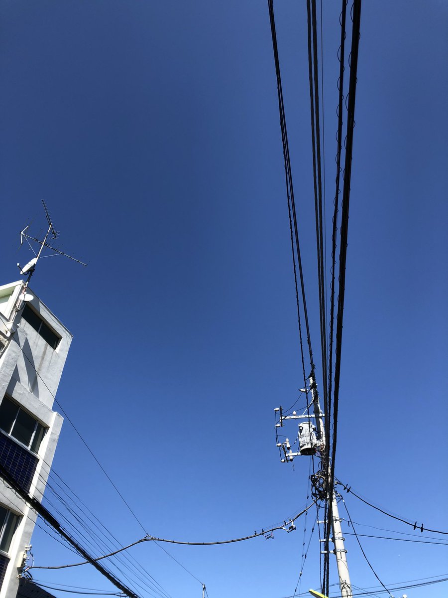 JoseJnwa's tweet photo. こんな良い天気に在宅勤務は良くない。オフパコしたくなるやん。
#裏アカ女子と繋がりたい https://t.co/ONy858doz8