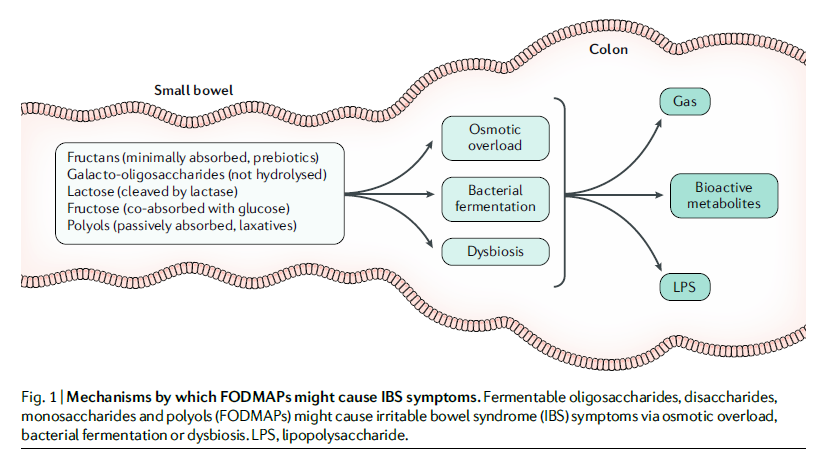 Exclusion diets in IBS <a href="/NatRevGastroHep/">Nature Reviews Gastroenterology & Hepatology</a>

Mechanisms by which #FODMAPS might cause #IBS symptoms:
1⃣Osmotic overload
2⃣Bacterial fermentation
3⃣Dysbiosis

Low FODMAP only suitable if:
✅first line advice unsuccessful
✅support from dietitian
✅short term

nature.com/articles/s4157…