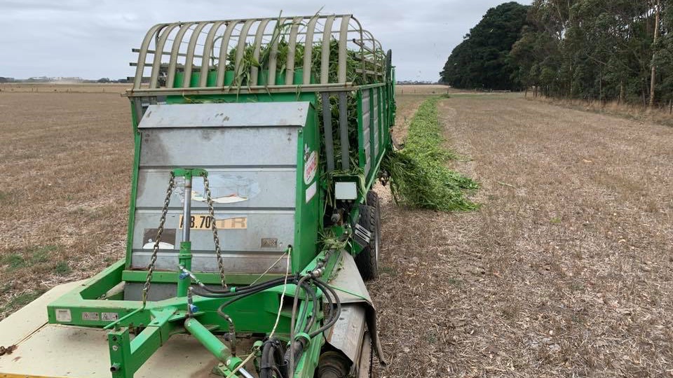 In the UK as in Australia grass is still the cheapest feed 👍
#zerograzing #grasstomilk #teamdairy