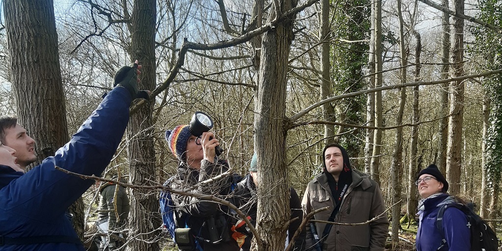 ADAS_Ecology's tweet photo. Our ecology team were leading some Ground Level Tree Assessment training (GLTA) last week. GLTAs are used to assess if a tree is suitable to host #bats so we were looking at potential roosting sites in tree cracks and cavities 🦇 #WorldWildlifeDay https://t.co/OmK8ljILfa