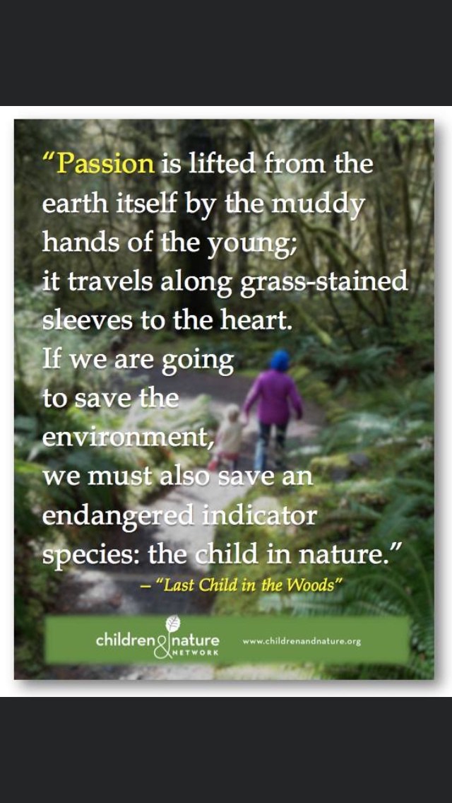 PaultonInfants's tweet photo. We 💚 forest school! 🍃 #outdoorlearning #outdoorplay #environment https://t.co/CiphxWQ9Q4