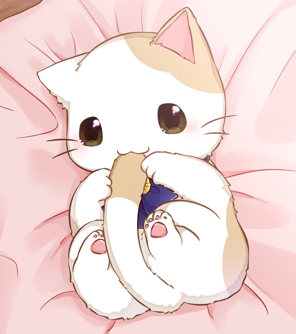 みぃたん 猫乃みぃたん(♂)@Vliver (@MiliTan2525) / Posts / X