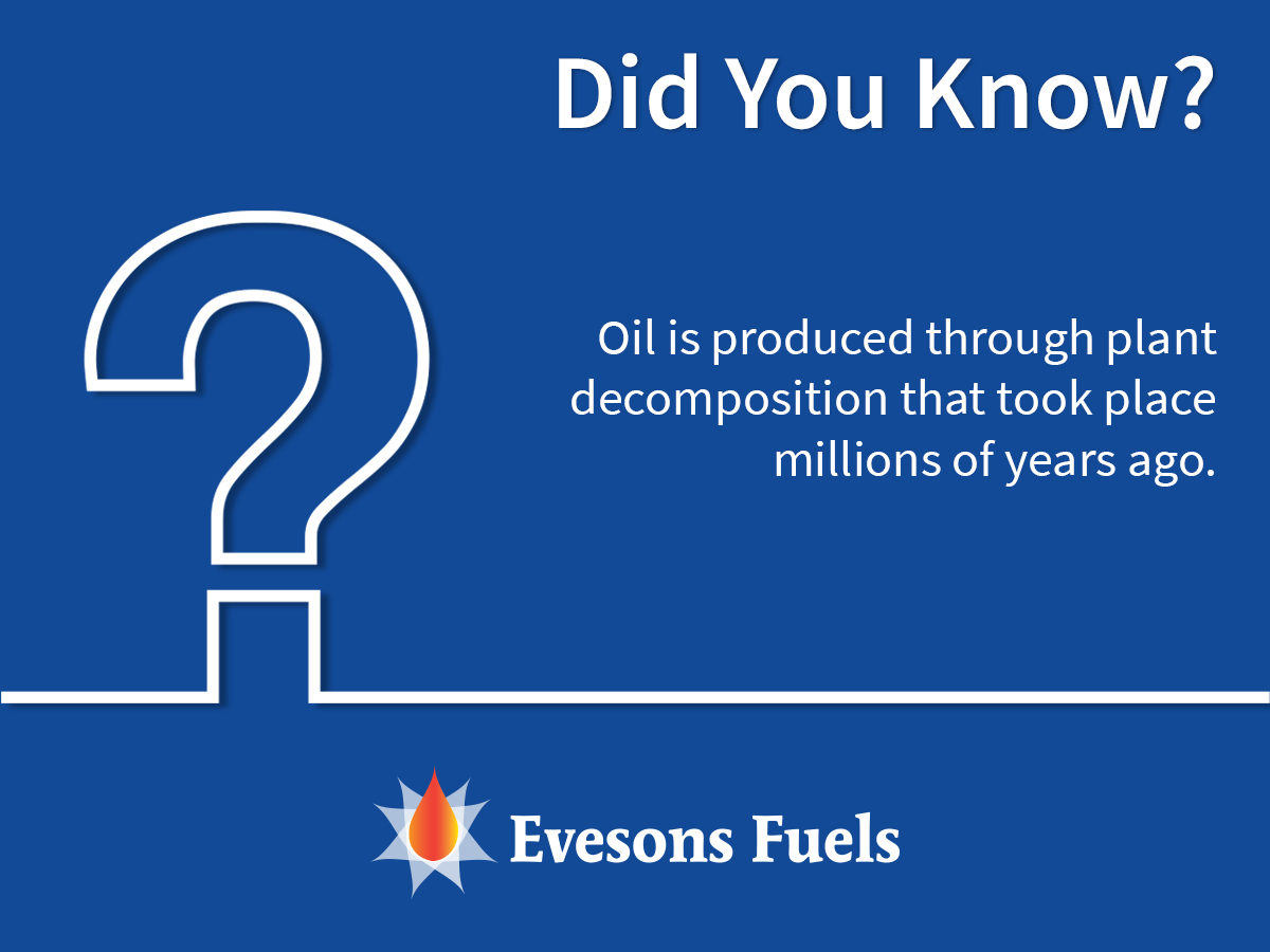 It's Oil Trivia Tuesday! Check out today's fact below.