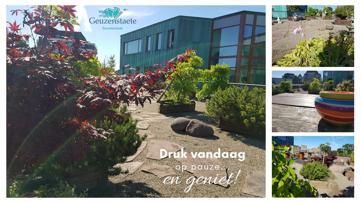 Geuzenstaete's tweet photo. Op zo'n prachtige dag als vandaag voel je dat de lente in aantocht is. Nog een paar weken en dan kunnen onze huurders en gasten genieten en ontspannen in onze Japanse daktuin. Tijdens een afspraak met een klant of overlegmoment met collega's. https://t.co/B2jKbbMRwi https://t.co/J051gYFulk