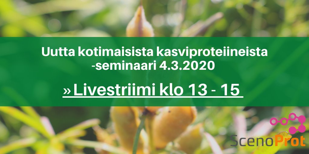 scenoprot's tweet photo. Uutta kotimaista kasviproteiineista -seminaari näkyy keskiviikkona Youtubessa klo 13 - 15. Tervetuloa linjoille! #kestävätproteiinit https://t.co/rltYpGscJO https://t.co/h3p4q8eL6a