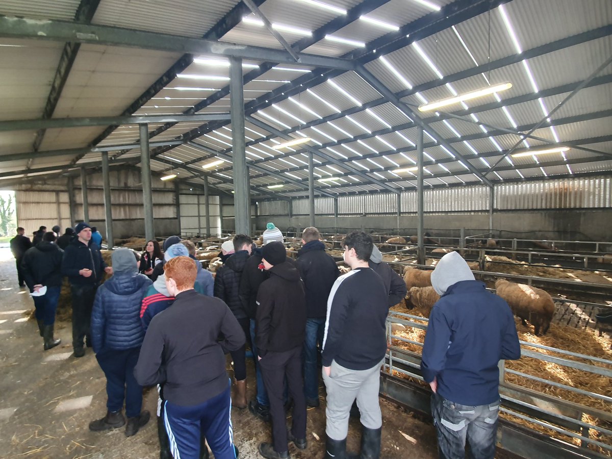 CPAHistory's tweet photo. @agriaware Very interesting day in #mountbellew for the #farmwalk2020 https://t.co/ySPKr3lcVA
