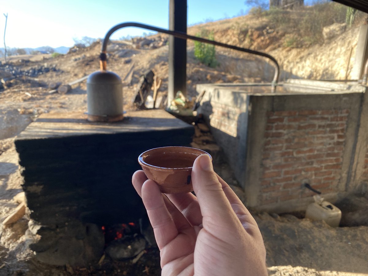 Jon Anders tweet media