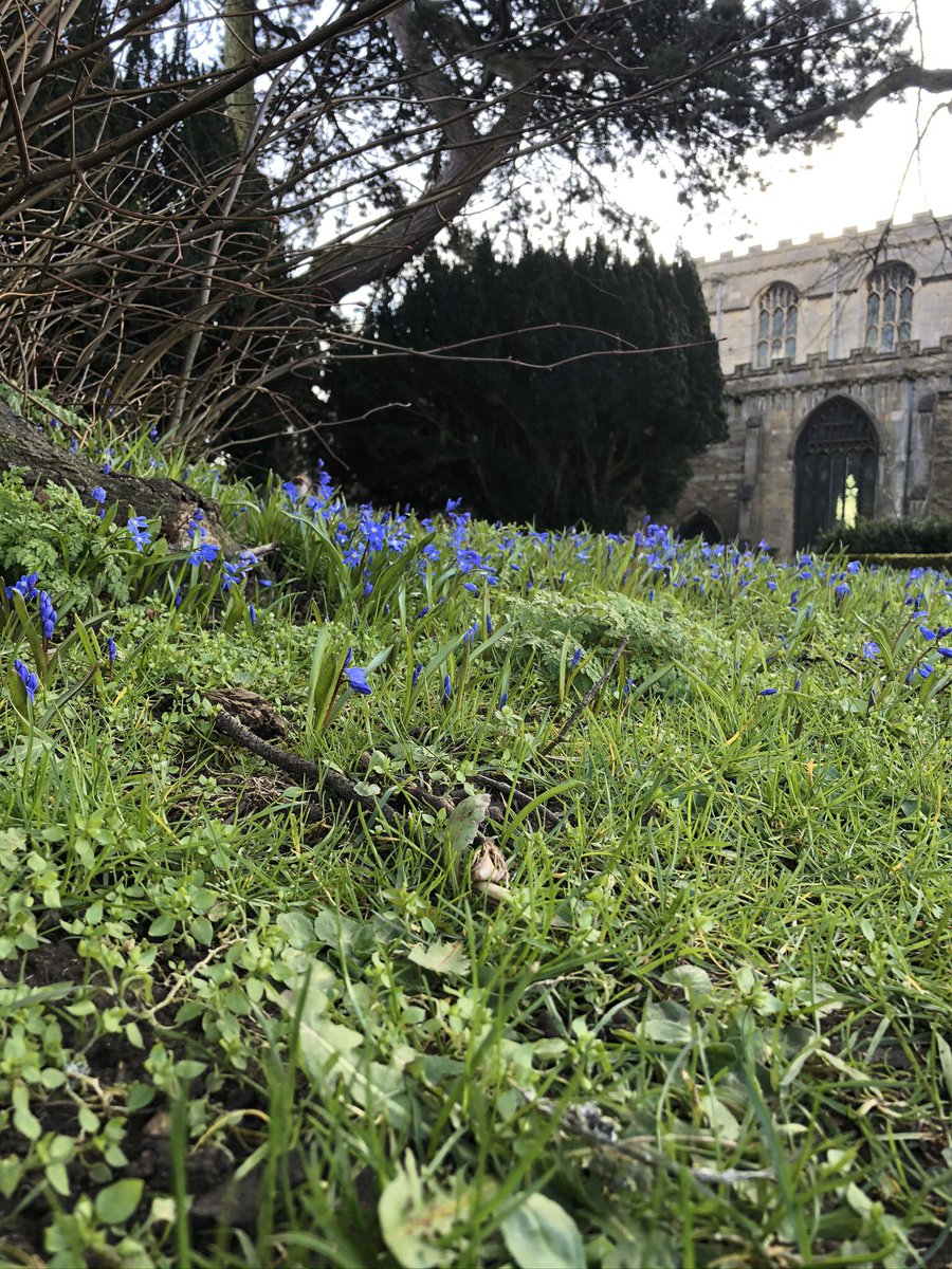 MindOakham's tweet photo. Spring is incoming. Don’t be blue. Check out the sights in Oakham. Then drop into your fantastic Mind shop to check for the spring bargains. #mindoakham #mymindshop #rutland #spring @rutlandcouncil @rutland_radio https://t.co/ObFWjANQBv