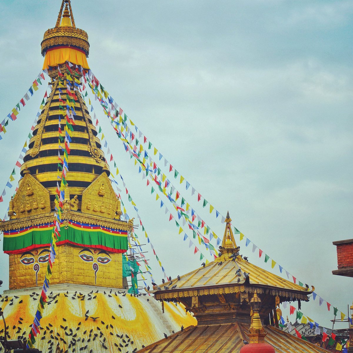 EverestTrav's tweet photo. La estupa de Swoyambhunath, Nepal.  Patrimonio Mundial de la UNESCO y un destino popular para turistas y peregrinos budistas.  Los ojos expresivos marcan la vista del Señor Buda, que siempre permanecerá con nosotros.
.
Photo by @engine_neear #nepaltravel #nepal🇳🇵 https://t.co/5iwoSJzxJ3