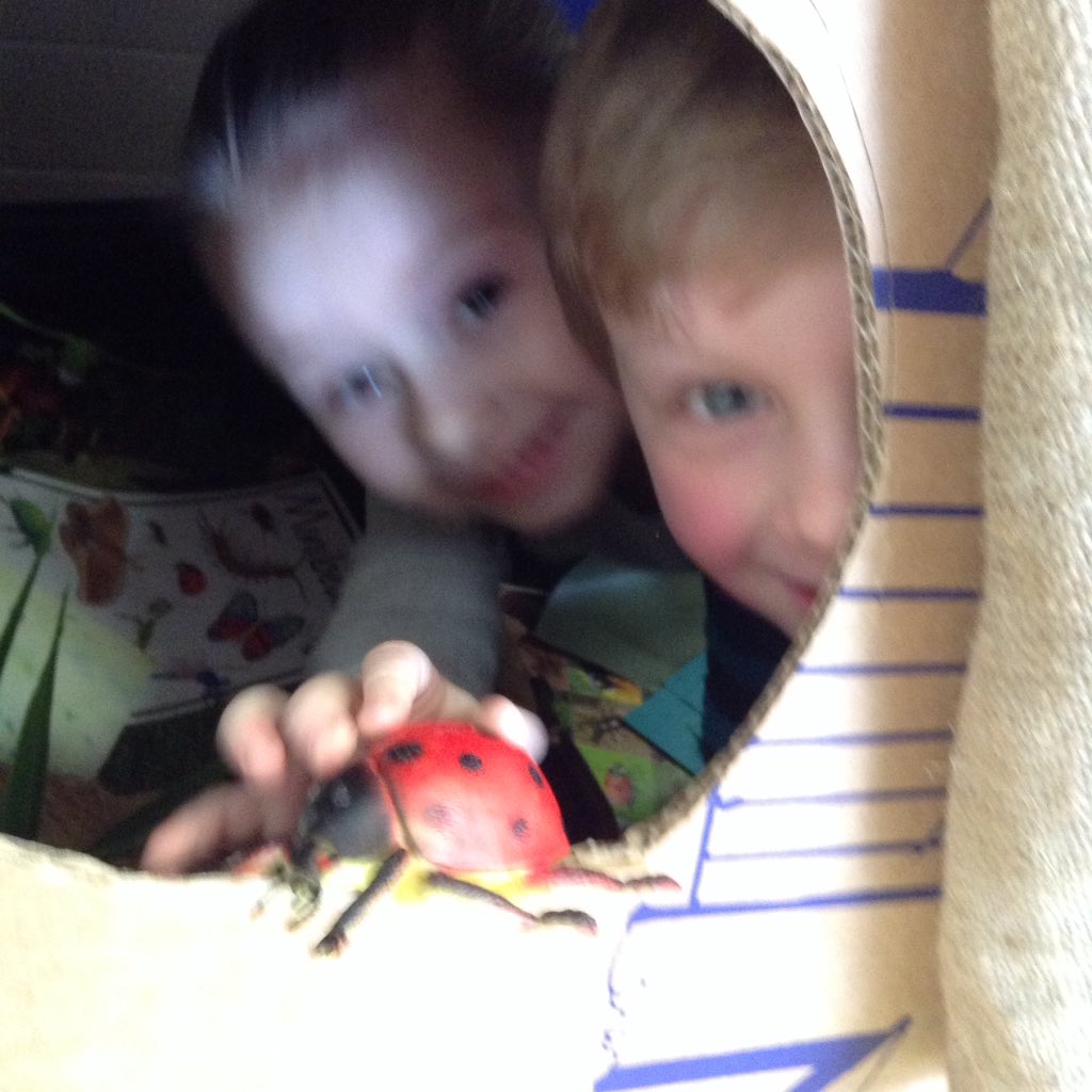 AshbridgeMaxy's tweet photo. Exploring, making notes, making discoveries, noticing features of bugs, finding out differences and names all in our little cardboard mini bug investigation centre #atelier #learningdiscoveries #EYmatters #EYFS #bugdetectives @NDNAtalk #earlylearning https://t.co/MGvAJmyPzi