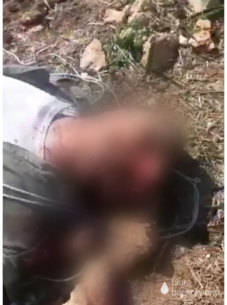 tv_wesaal's tweet photo. #سوريا

العثور على جثة أحد الطيارين بعد اسقاط طائرته في ريف #إدلب الجنوبي منذ قليل https://t.co/qjIF0FmKjx