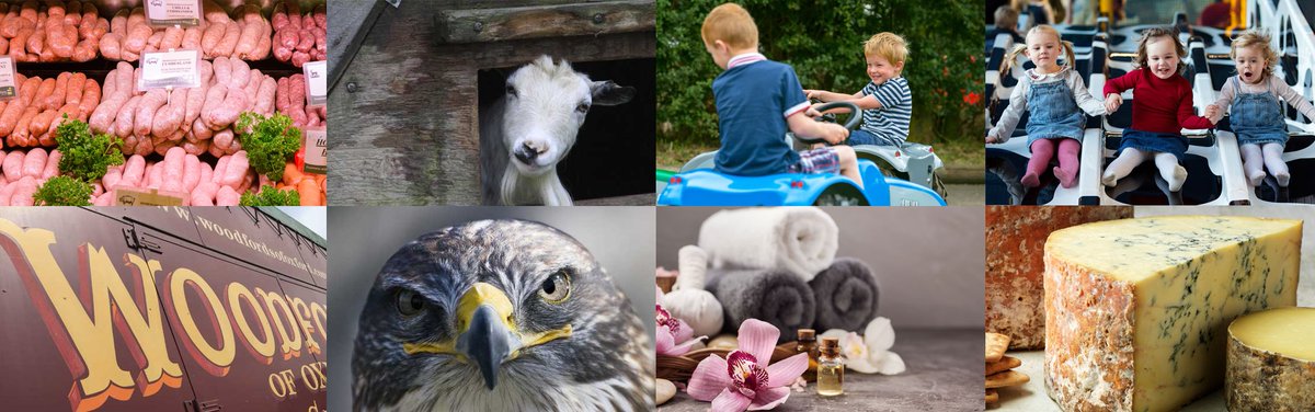 RealFoodRocksUK's tweet photo. We just published a page on our website about the beautiful location for this year's festival!

Find out more about @MilletsFarm right here 😀👍

https://t.co/ssaFir9DzC 

P.S. Tickets will be available in the next couple of weeks!

#RealFoodRocks https://t.co/1k7PLPZ4Ep