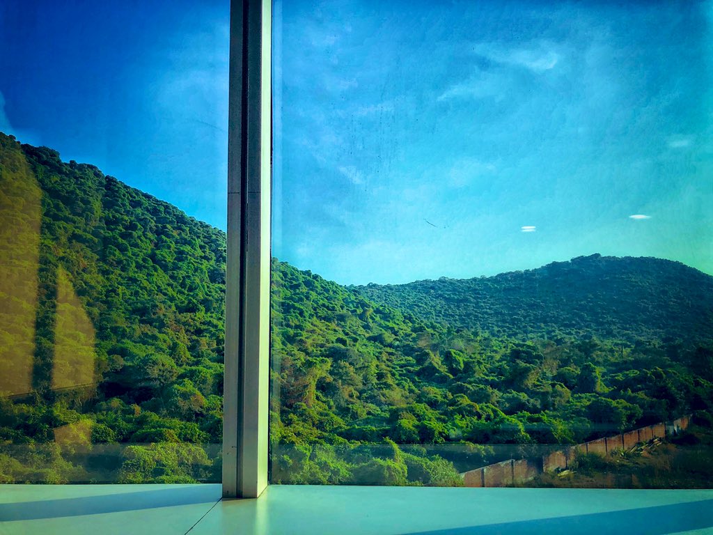 aranganathan_'s tweet photo. @ParveenKaswan View out of my office window https://t.co/vXrTm9H6Mc