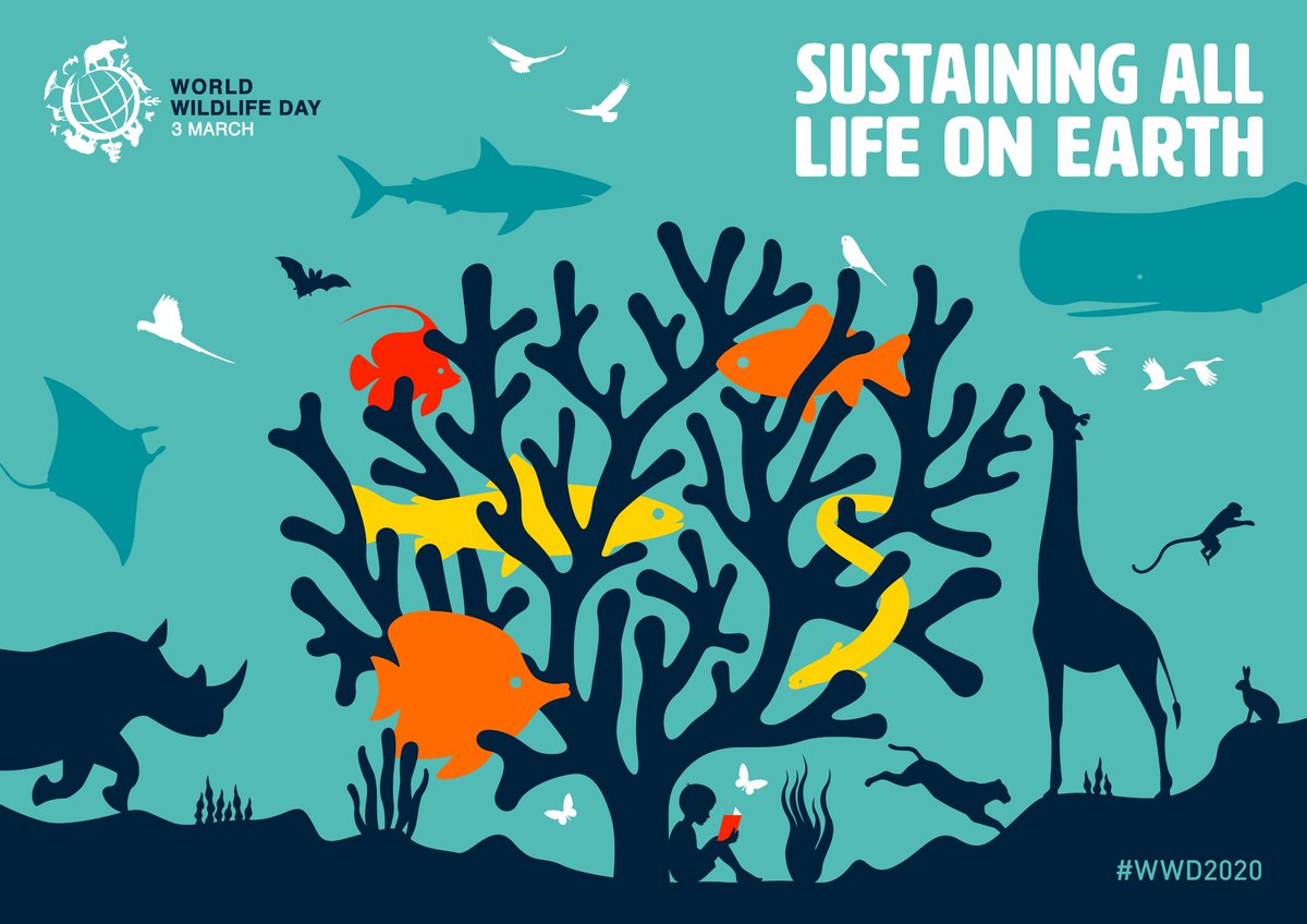 Sustain all life on Earth. 2020 "biodiversity super year" Let's all work together to protect our magnificent planet. #sustainingalllifeonearth #wildlife #conservation #responsibletravel #tourismdeclares #wwd2020