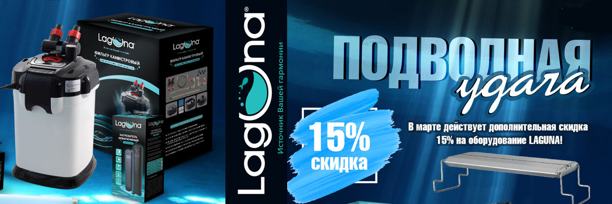 Подводная удача с Laguna zooventa.ru/action/podvodn…
