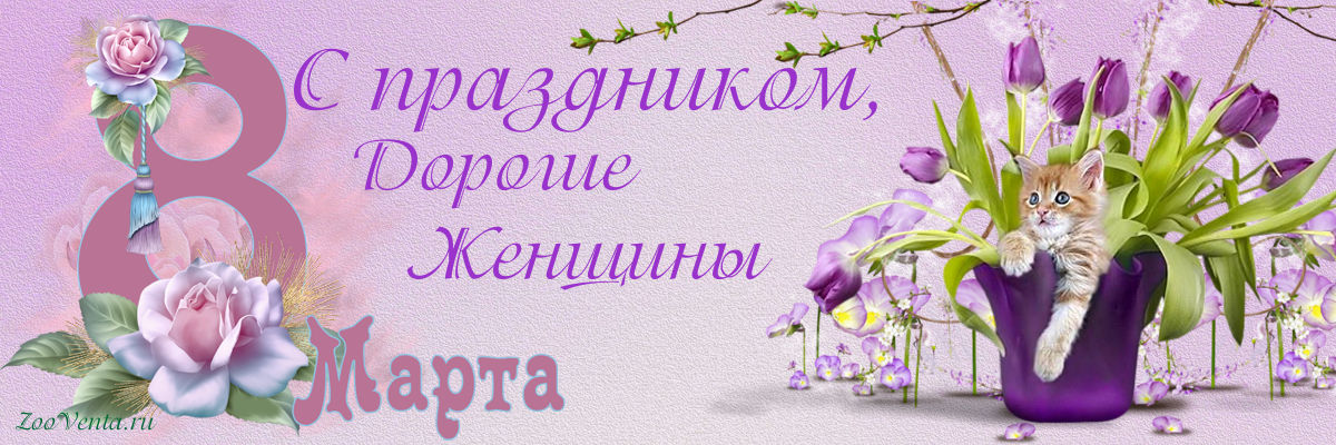 Милые женщины, с 8 марта! zooventa.ru/news/milye-zhe…