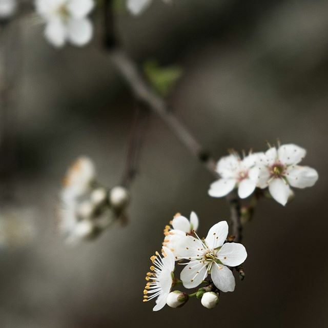 Hannah Belton tweet media