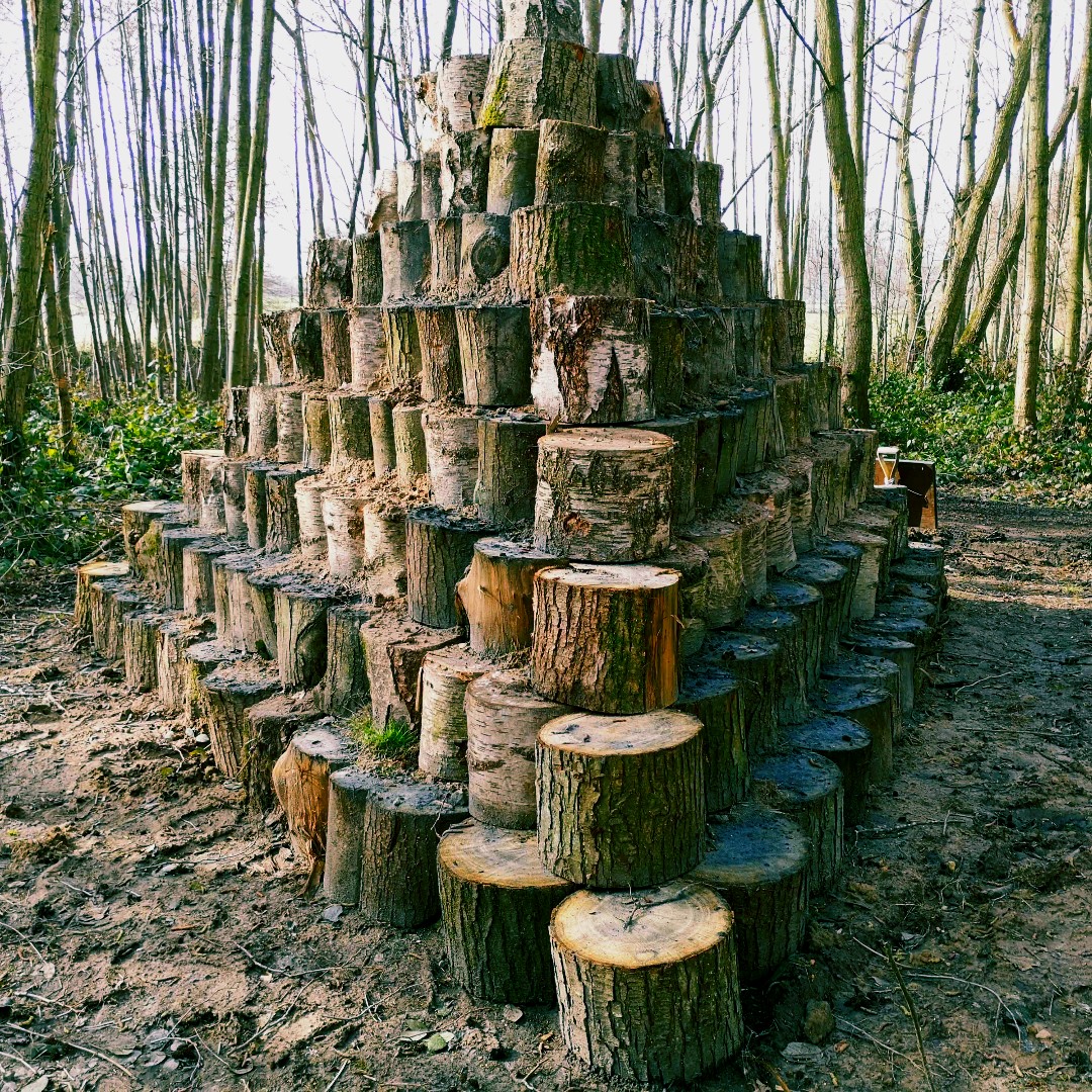 The Woodland Trail is full of homes and food sources for all sorts of wildlife, from bees to birds, and badgers to pheasants. In among the trees and wild flowers, there's log pyramids, stumperies and dead-hedging to enjoy 🌳 
 #WorldWildlifeDay #PenshurstPlace
