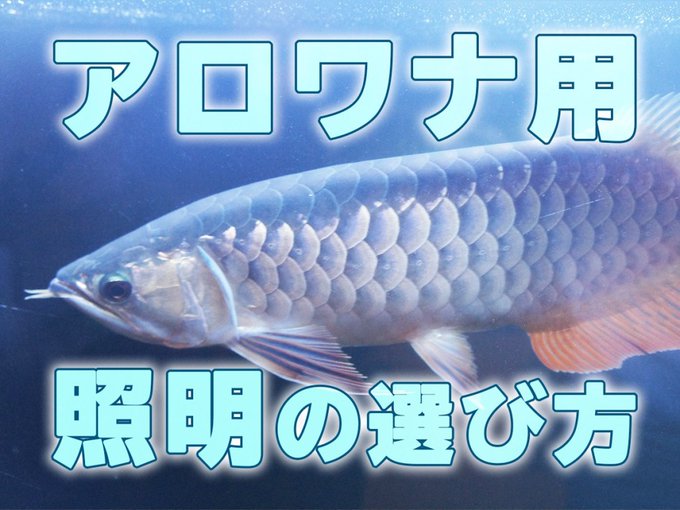 アロワナのtwitterイラスト検索結果 古い順