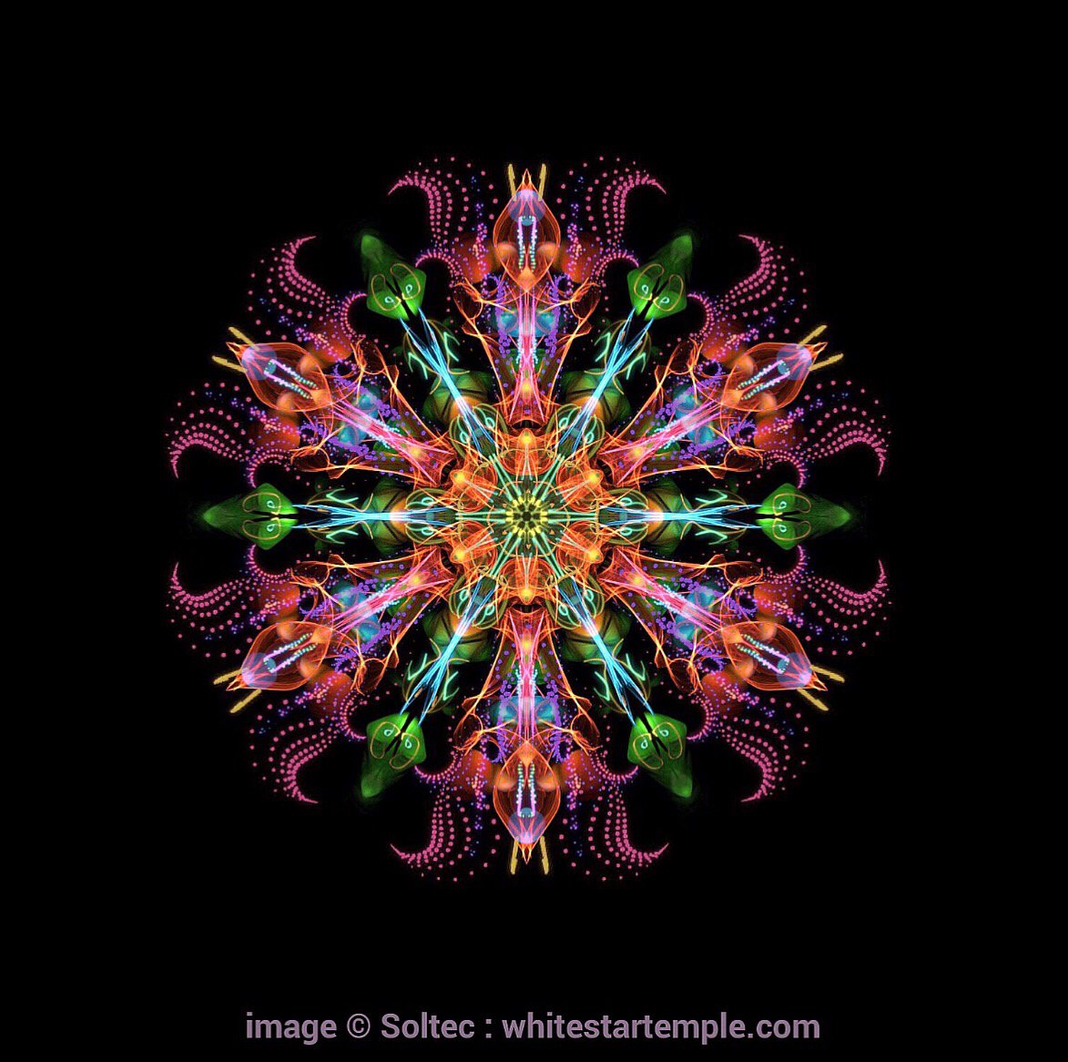 WhiteStarTemple's tweet photo. Your journey is significant, for we understand the idea of ‘humanity’ through you and through you all. And more than this, there is a thread that you pull through with you across space and time that is significant to the tapestry that is formed. 
#spiritual #wisdom #journey https://t.co/9omDHGpYfZ