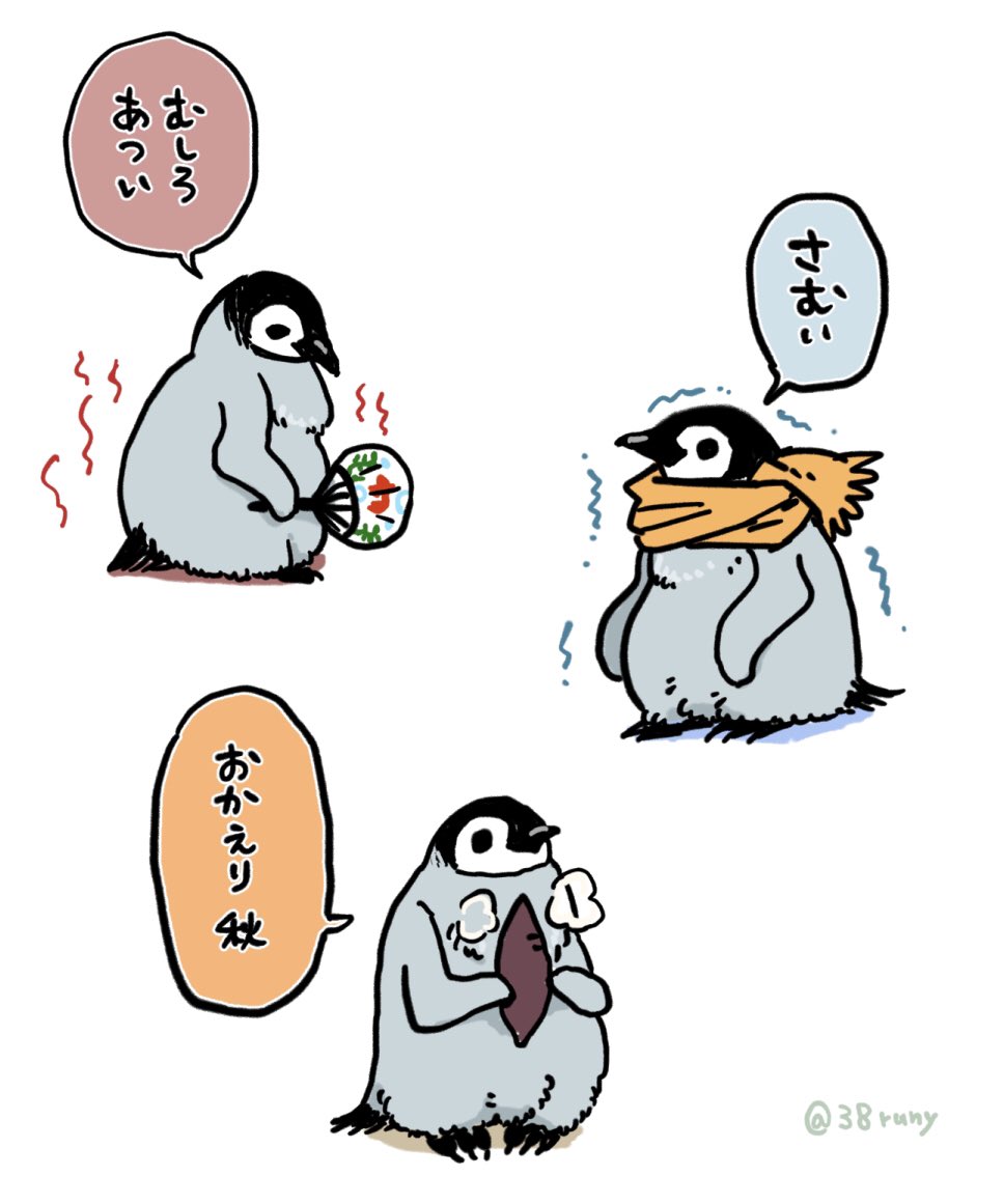 皇帝ペンギンヒナ集め 