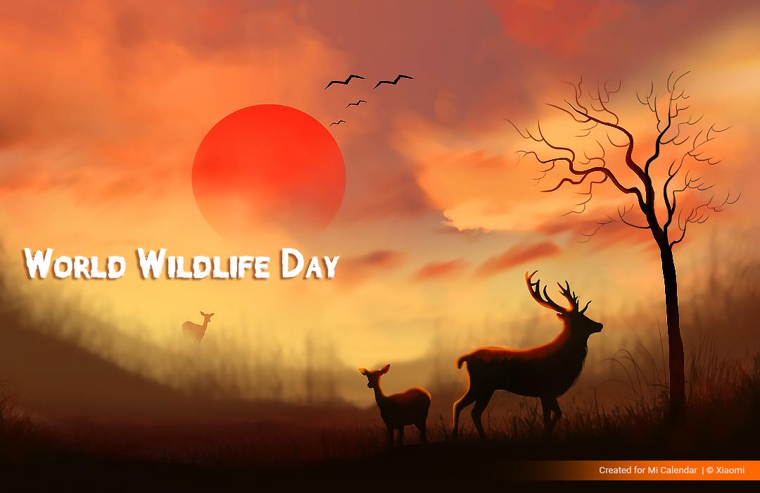 ISCDCs's tweet photo. Today 3 march is the world wildlife day 🐨🐱🦛🦏
If animals can hear and understand, what would you say for them in their international day ( share yoyr thoughts with us in the comments below) 
#ISCDC for #sustainability https://t.co/M3Upg18sSp