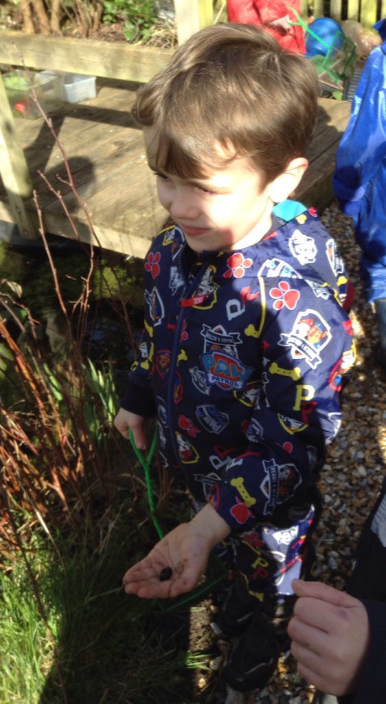 LancastrianInf1's tweet photo. Forest school pond dipping investigations. We found two newts and lots of water snails. https://t.co/g9nNbhCH2e