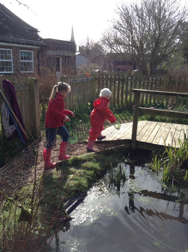 LancastrianInf1's tweet photo. Forest school pond dipping investigations. We found two newts and lots of water snails. https://t.co/g9nNbhCH2e