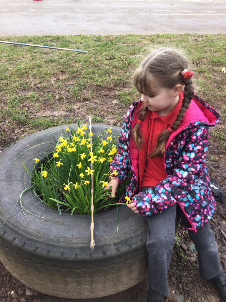 PPSMrsBeard2JB's tweet photo. Year2 have been exploring elective symmetry in their local environment. They needed to use their literacy skills to give an explanation for their choices.@PPSLangandLit @PPSMathsandNum @PPSMrNocivelli https://t.co/s09XP9HXWc