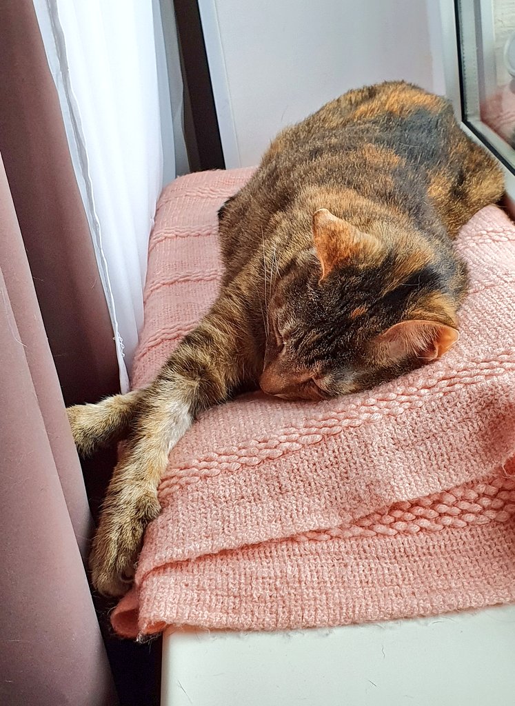 Вторник, сиеста