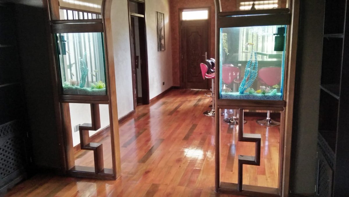 Nairobipethouse's tweet photo. #OurWork We build, install, refurbish, repair and maintain freshwater aquariums.

Conversational piece. Nature.

Let us do your space!
DM/Inbox or call us @ +254-788-346595 today! 

#NairobiPetHouse #freshwater #aquarium #maintenance #workspace https://t.co/zS4PEOKFOw