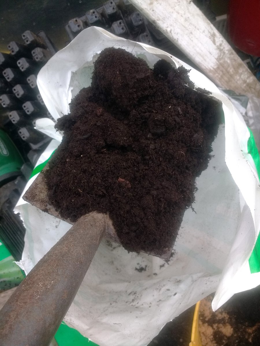 Legionnaires' identified in some potting compost. Would you read a warning label? Is it more hysteria? I take a look in this weeks #inishowenindependent inishindiegardenmatters.blogspot.com/2020/03/would-…