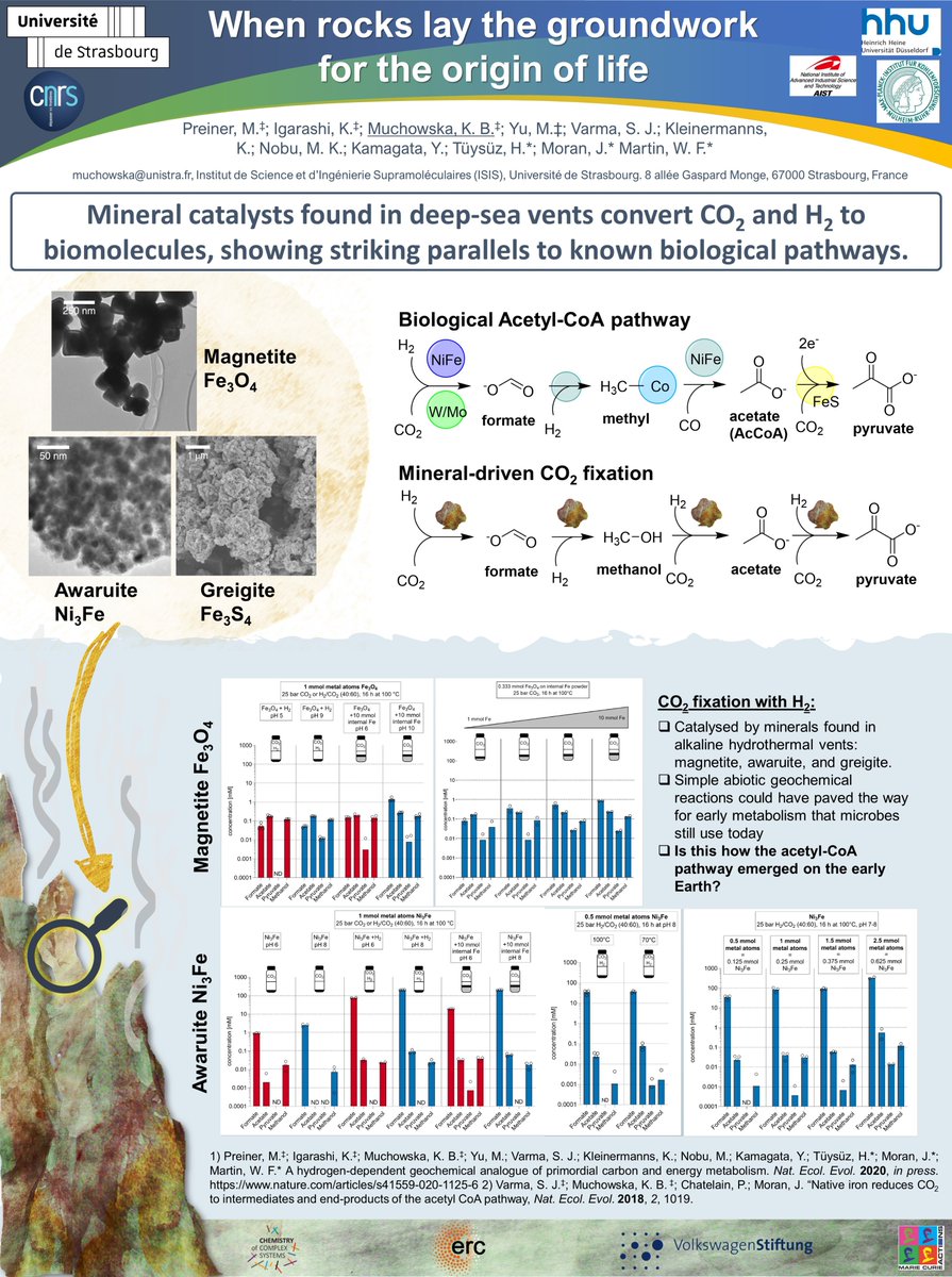 Kamila Muchowska tweet media