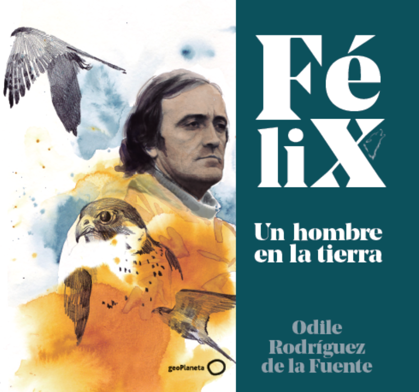 Dante_Hermo_geo's tweet photo. Hoy, #DíaMundialDeLaNaturaleza, @geoplaneta pone a la venta "Félix - Un hombre en la tierra", de @odilerf. Fruto del trabajo de mucha gente, es un libro especial por muchas razones... 👇🏻 https://t.co/IP8SEEYjhJ